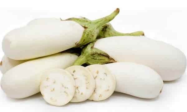 خرید و قیمت بادمجان سفیدعراقی + فروش عمده